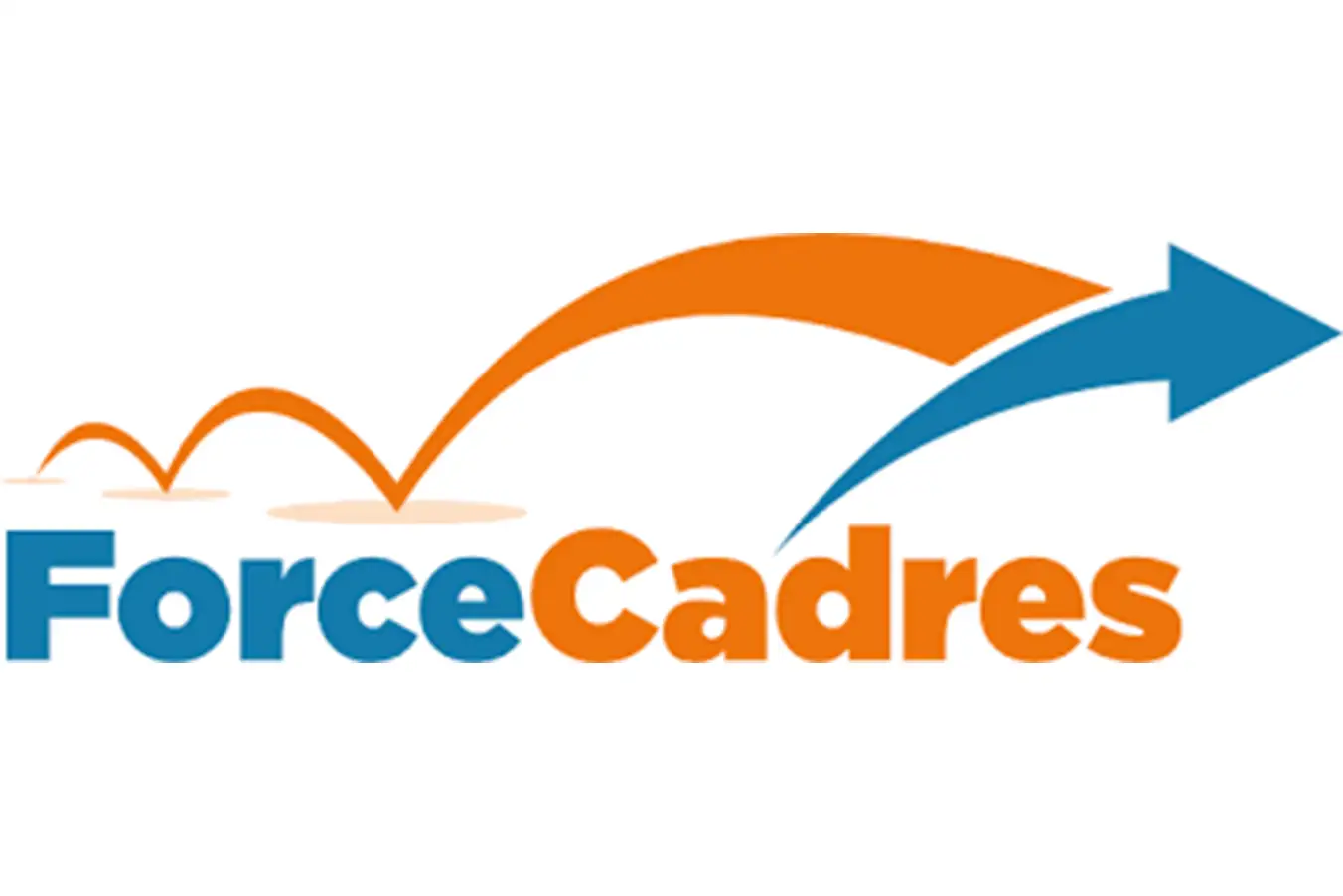 21.FORCES CADRES